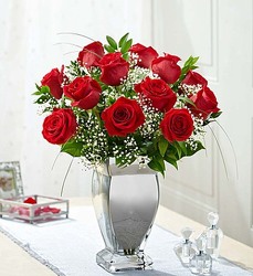 Premium Long Stem Red Roses in a Silver Vase Davenport Florist - Same Day Flower Delivery - Flower Power 